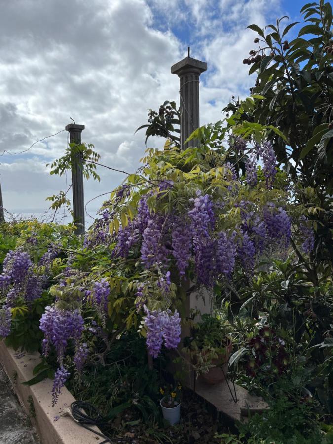 Villa Casa Ayane à Santa Cruz de la Palma  Extérieur photo